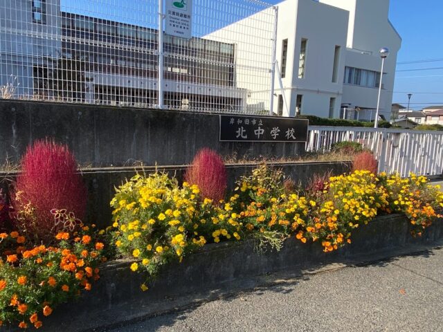 岸和田市立北中学校の校門の綺麗なお花　写真