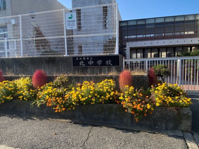 岸和田市立北中学校の校門の綺麗なお花　画像　田中家具ブログ