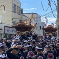 桐箪笥の社長ブログ　今年の私どものだんじり祭りも終わりました。